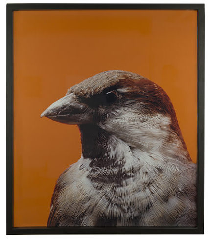 product-photography-art-22